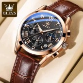 Men's OLEVS 2871 Quartz Wrist Watch (Golden)