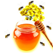 Mustard Flower Honey সরিষা ফুলের মধু
